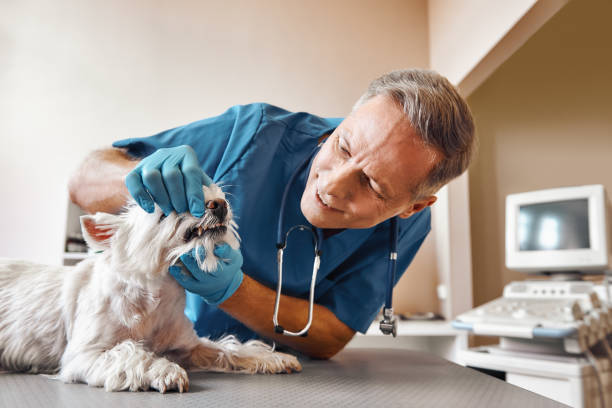 Best Emergency Dental Extractions in Hamburg, AR
